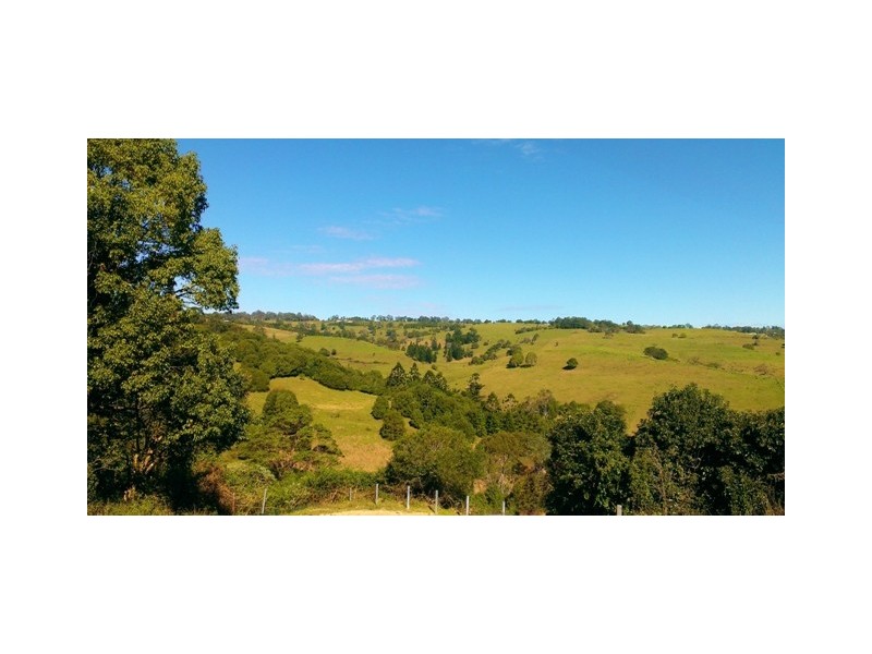 5 Roy Place, Richmond Hill NSW 2480