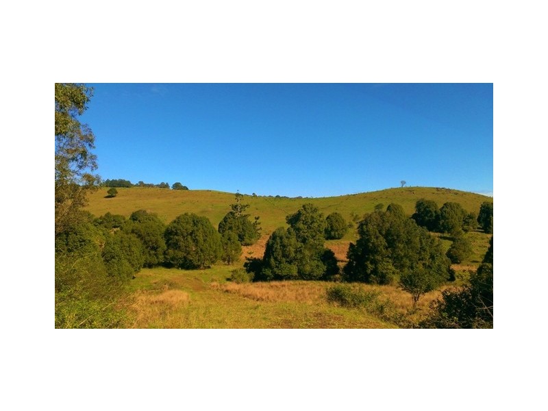 5 Roy Place, Richmond Hill NSW 2480