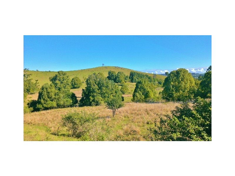 5 Roy Place, Richmond Hill NSW 2480