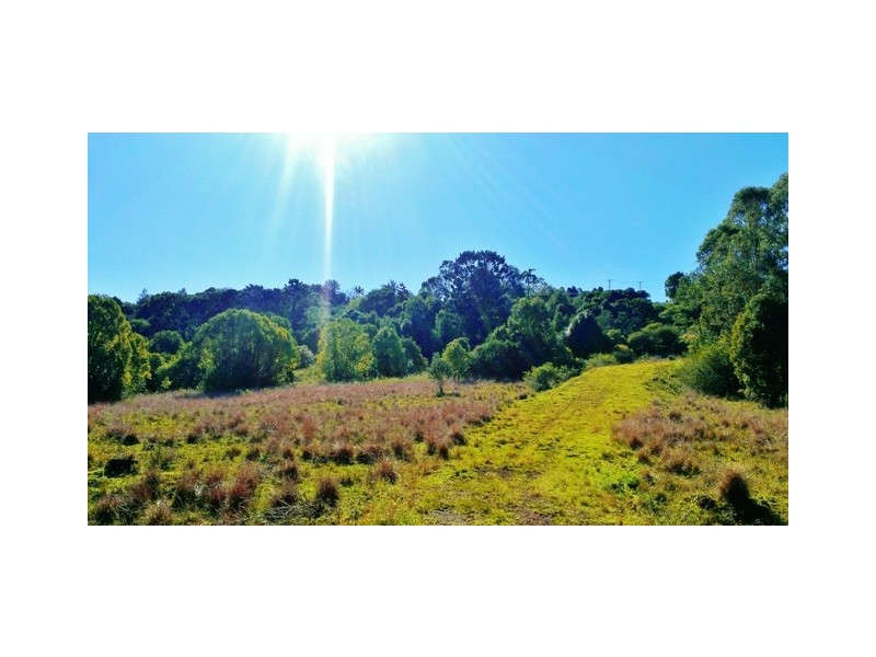 5 Roy Place, Richmond Hill NSW 2480