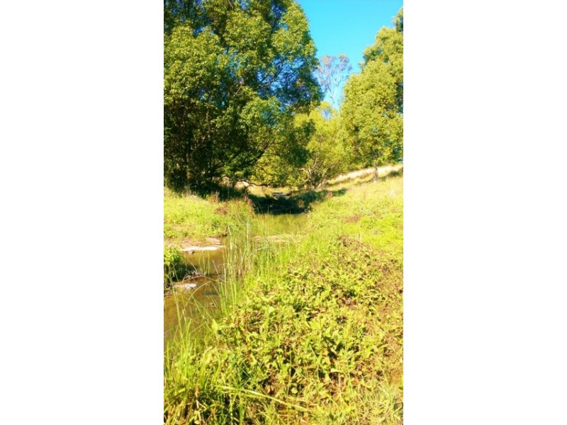 5 Roy Place, Richmond Hill NSW 2480