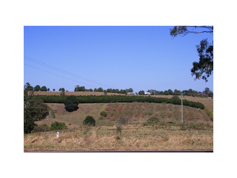 422 Richmond Hill Road, Richmond Hill NSW 2480