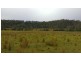 Lot 143 Old Lawrence Road, Deep Creek NSW 2469