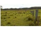 Lot 143 Old Lawrence Road, Deep Creek NSW 2469