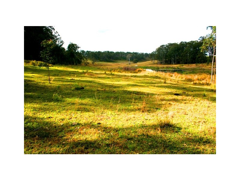 249 Dyraaba Road, Piora NSW 2470