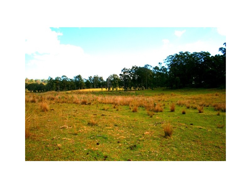 249 Dyraaba Road, Piora NSW 2470