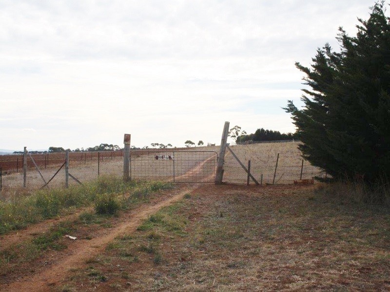 Lot 3 Saric Court, Plumpton VIC 3335