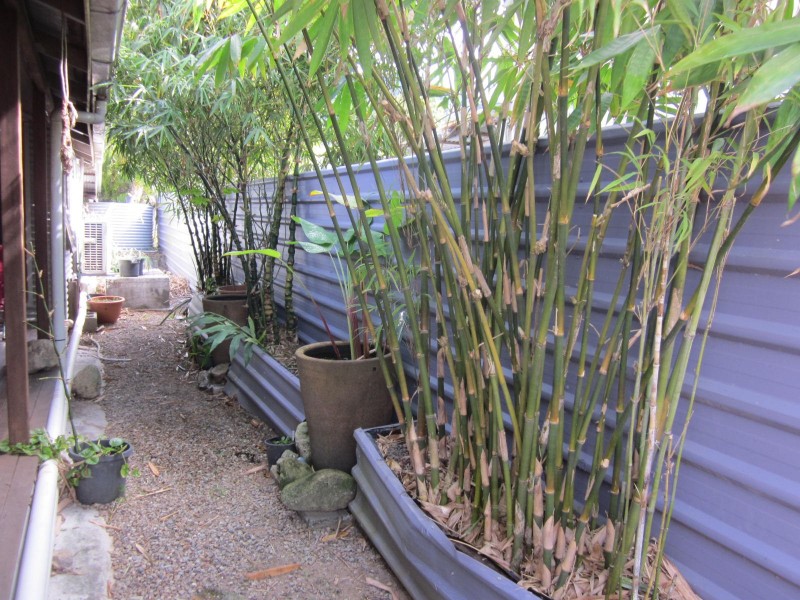 69469 Bruce Highway, Fishery Falls QLD 4871