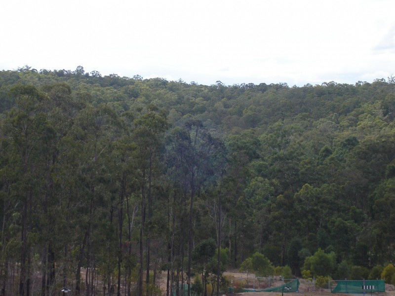 17 Pardalote Drive, Brookwater QLD 4300