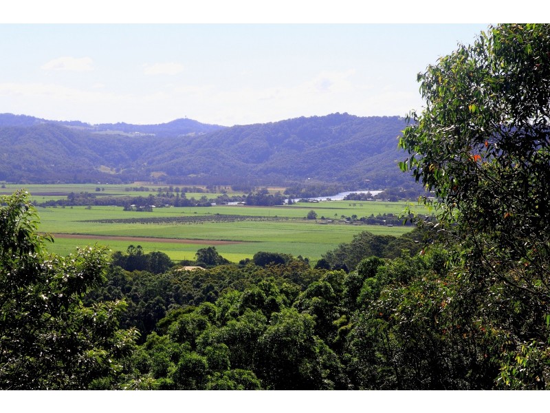 33 Farrants Road, Farrants Hill NSW 2484