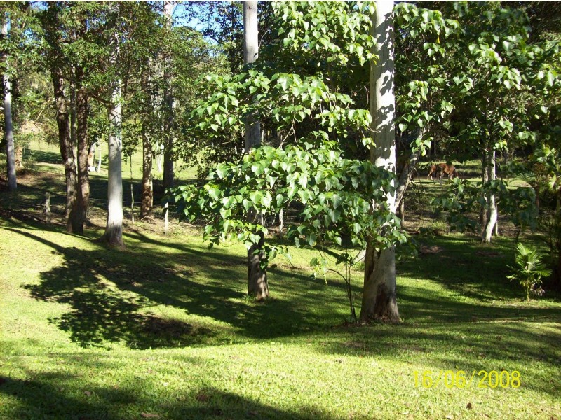 399 Highlands Road, Eudlo QLD 4554