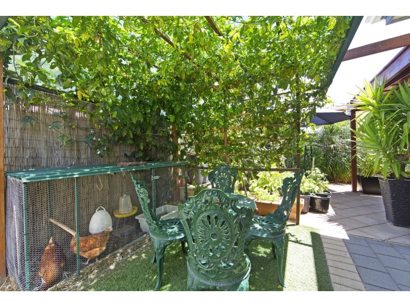 19 Swan Street, Grange SA 5022