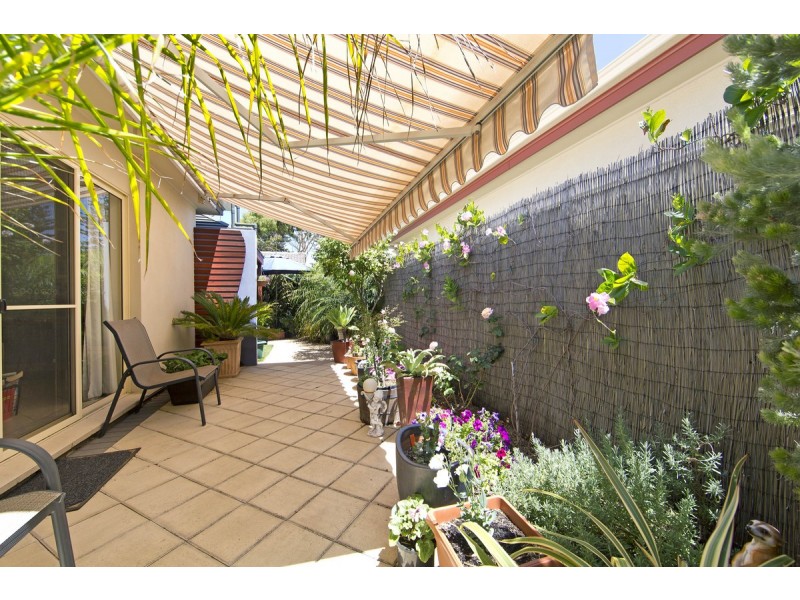 19 Swan Street, Grange SA 5022