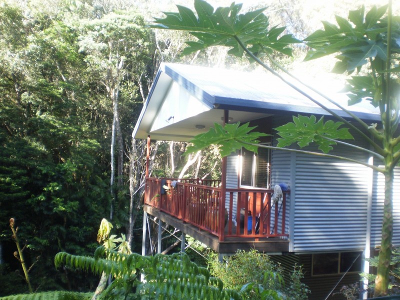 5 Williamson Drive, Kuranda QLD 4881
