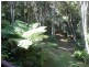 5 Williamson Drive, Kuranda QLD 4881