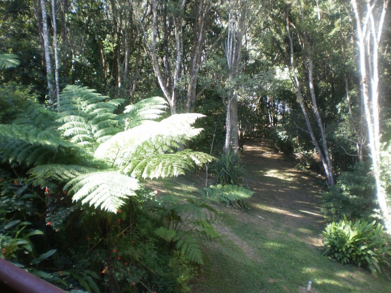 5 Williamson Drive, Kuranda QLD 4881