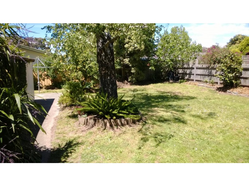 29 Gissing Street, Blackburn South VIC 3130