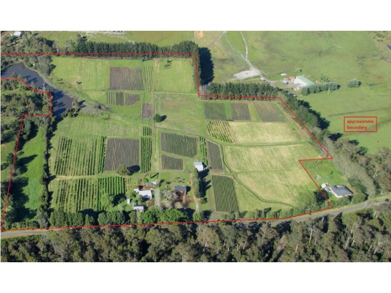 105 Hillwood Road “Hillwood Berry Farm”, Hillwood TAS 7252