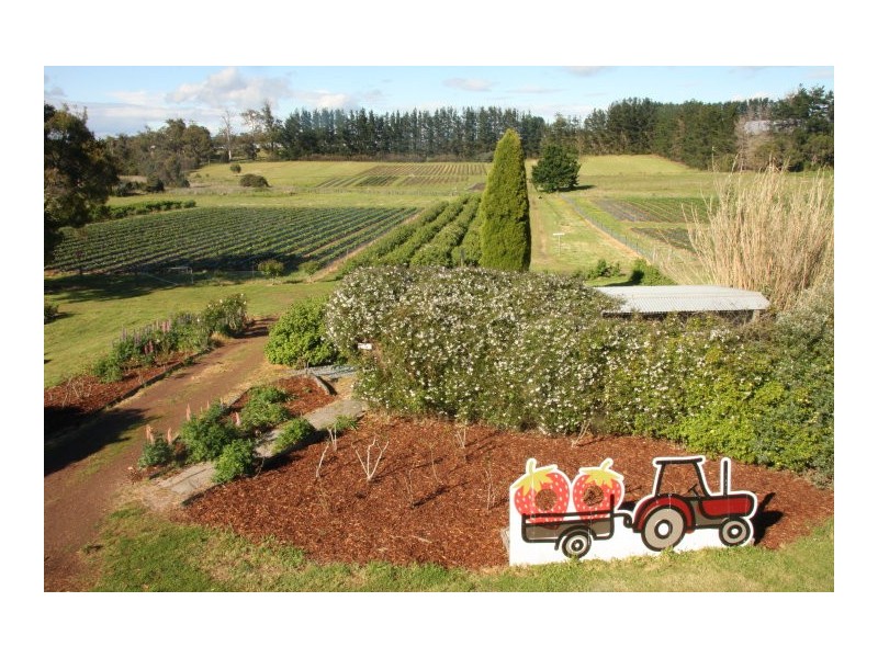 105 Hillwood Road “Hillwood Berry Farm”, Hillwood TAS 7252