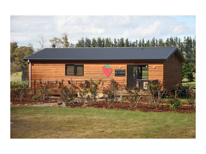 105 Hillwood Road “Hillwood Berry Farm”, Hillwood TAS 7252