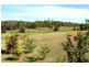 62 Taylor Road, Veteran QLD 4570