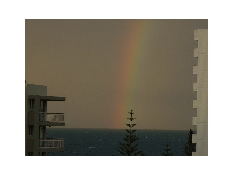 80/210-218 Surf Parade, Surfers Paradise QLD 4217