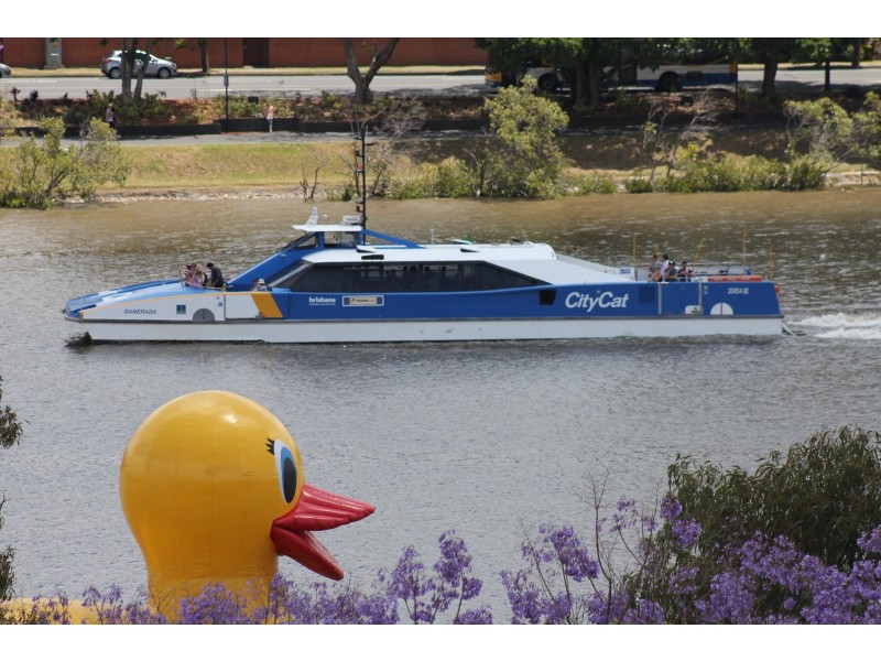 37 Duncan Street, West End QLD 4101