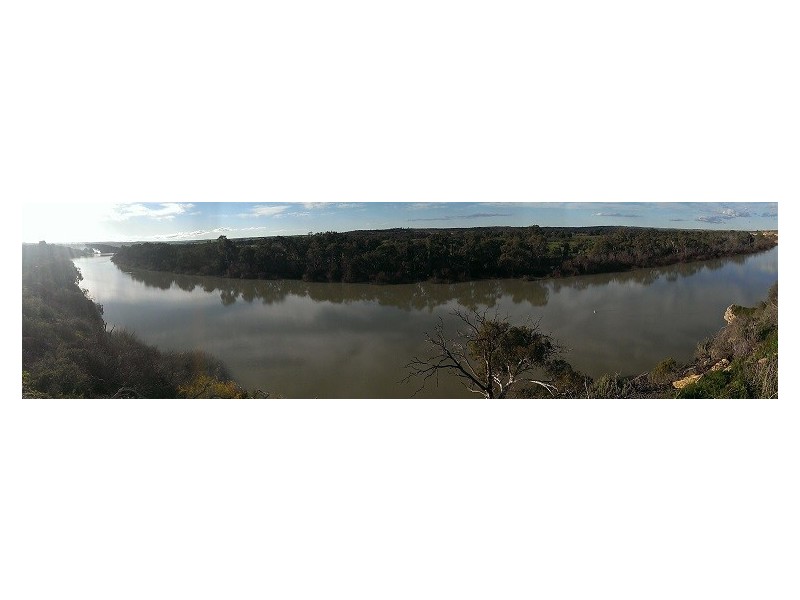 Lot 221 Zadow Road, Caloote SA 5254