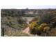 Lot 221 Zadow Road, Caloote SA 5254
