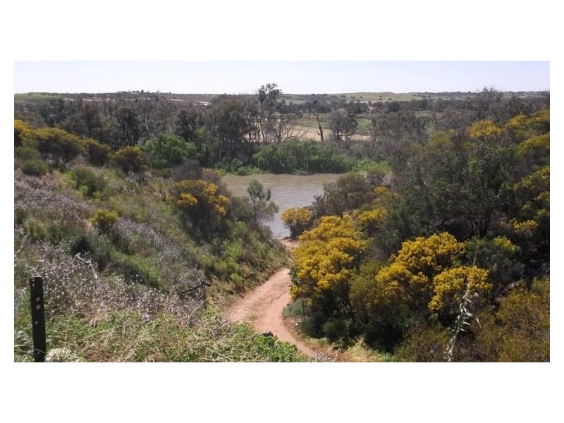 Lot 221 Zadow Road, Caloote SA 5254