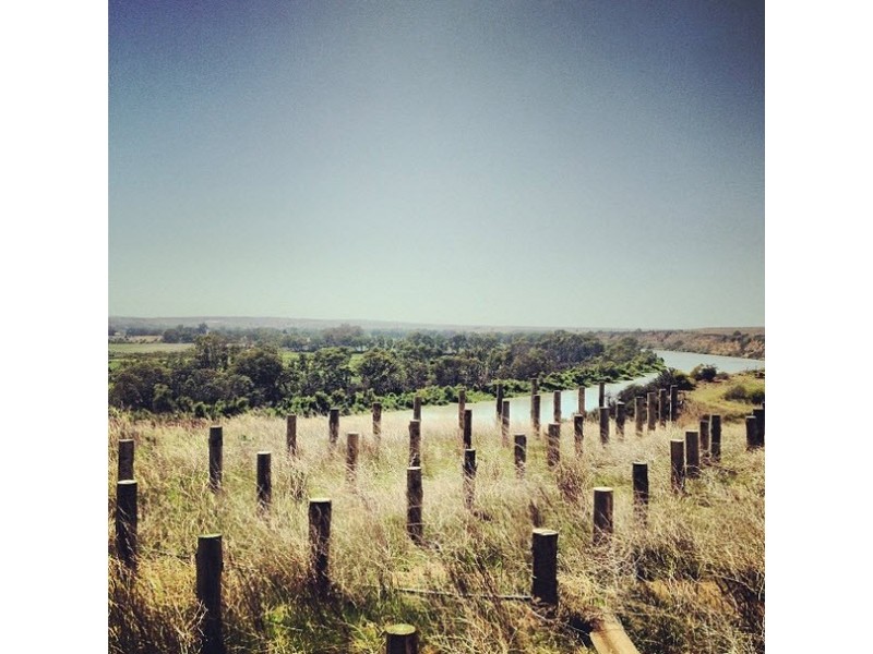 Lot 221 Zadow Road, Caloote SA 5254