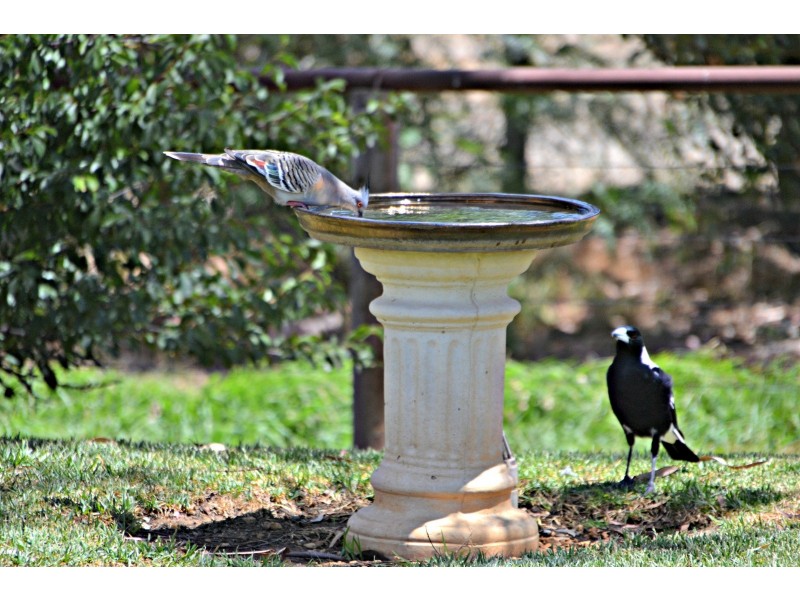 1 Meyers Road, Strathalbyn SA 5255