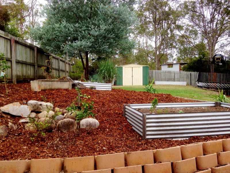 102 Rue Montaigne, Petrie QLD 4502