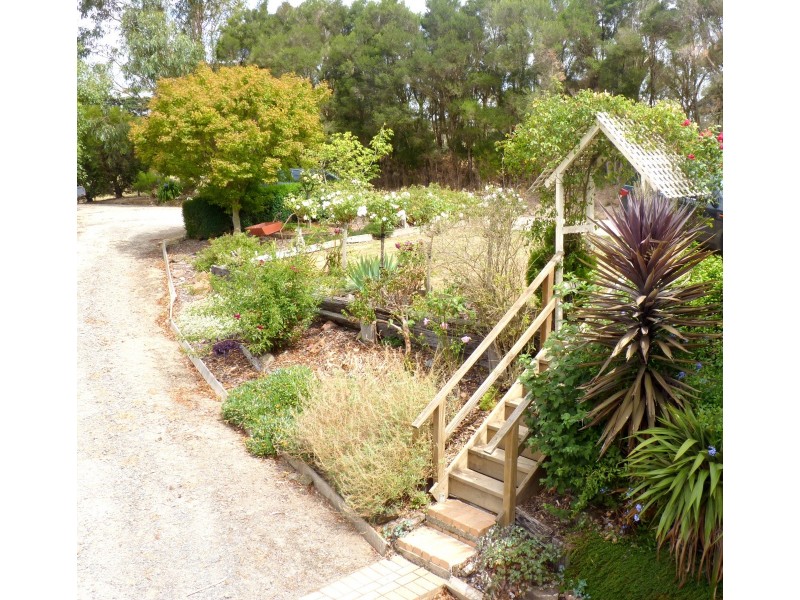 95 One Chain Road, Arawata VIC 3951