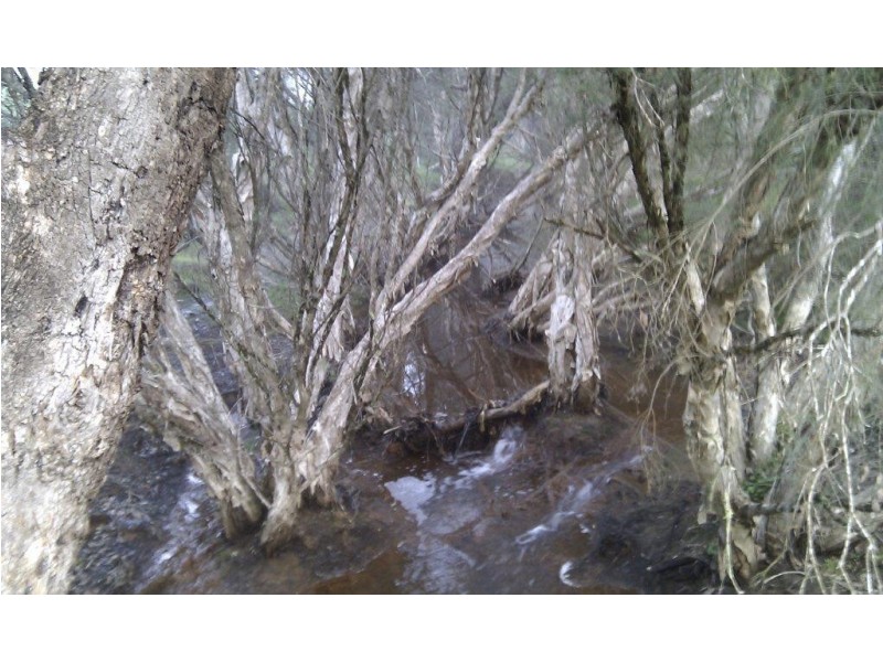 737 Chittering Road, Bullsbrook WA 6084