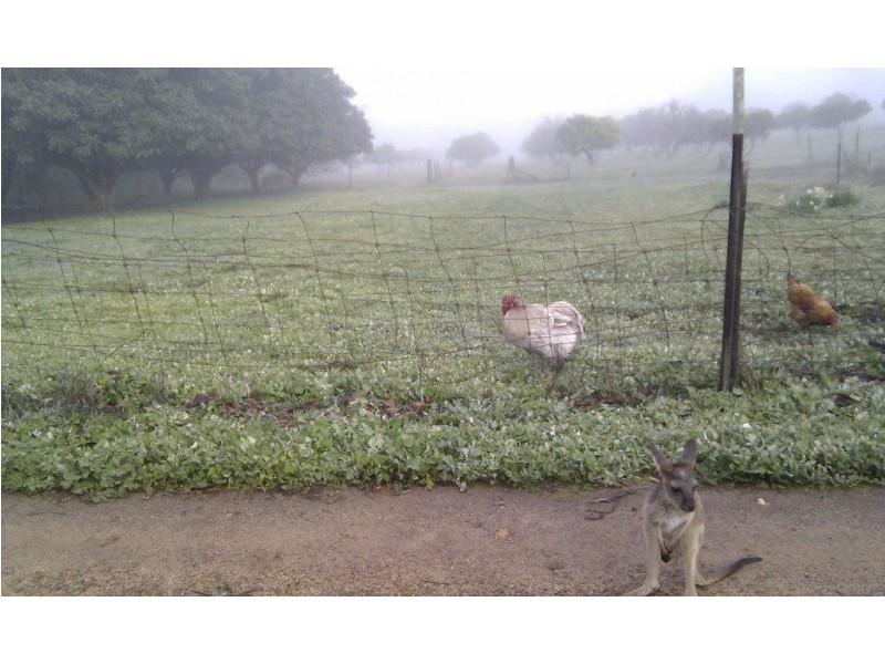 737 Chittering Road, Bullsbrook WA 6084