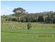 Peel NSW 2795