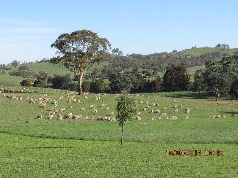 Peel NSW 2795