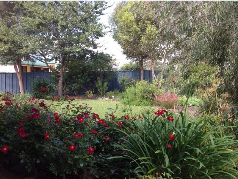 17 Ramm Road, Mannum SA 5238