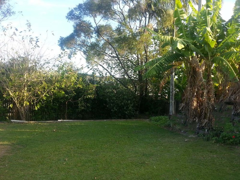 41 Finlay Street, Slacks Creek QLD 4127