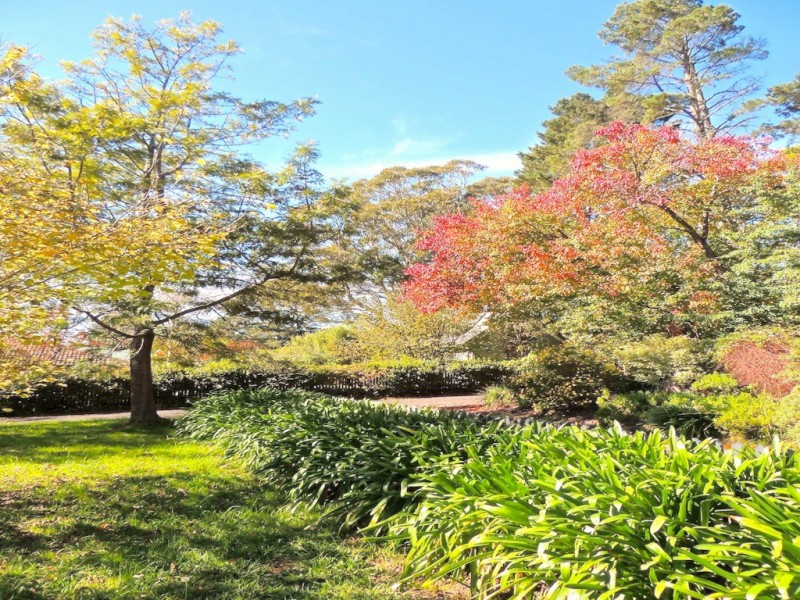 33 Murphys Lane, Wentworth Falls NSW 2782