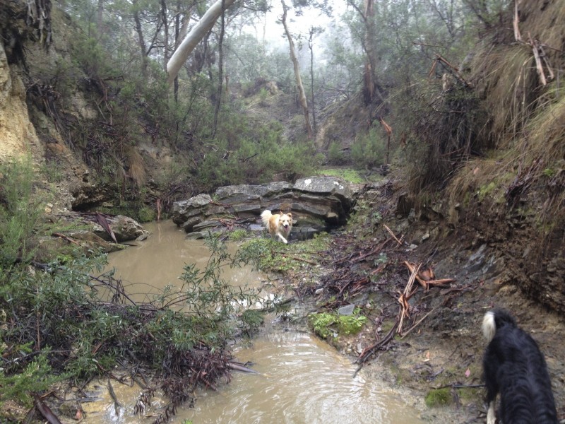 164 Creek Close, Oallen NSW 2622