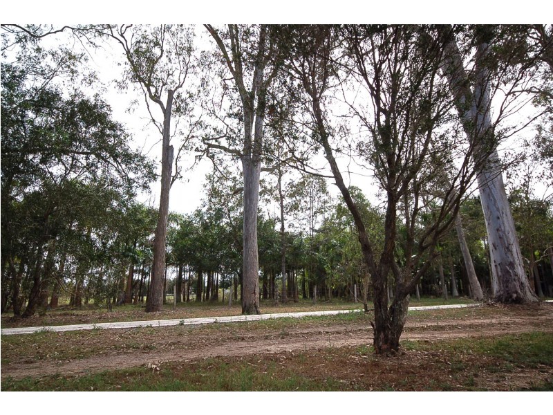 1/5 Pine Valley Drive, Joyner QLD 4500