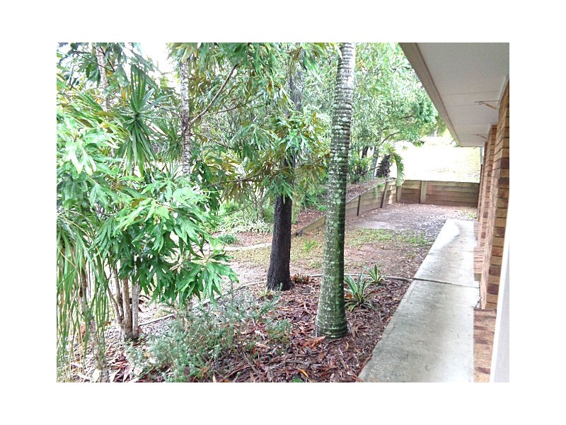 2 Connewarre Court, Petrie QLD 4502
