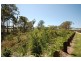 5 Tahr Place, Dakabin QLD 4503