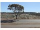 75 MacDonald Street, Coolgardie WA 6429