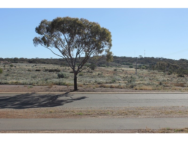 75 MacDonald Street, Coolgardie WA 6429