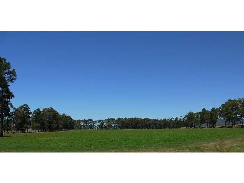 133 Griffin Road, Tolga QLD 4882