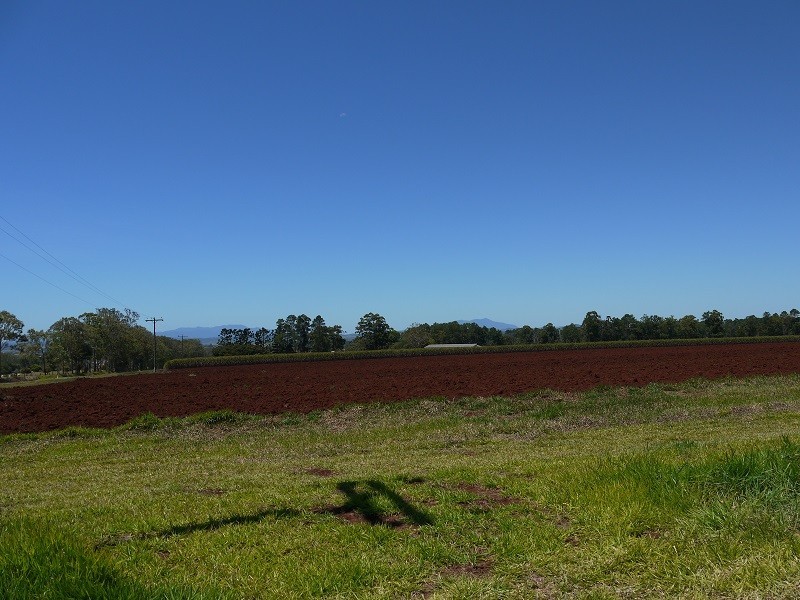 133 Griffin Road, Tolga QLD 4882