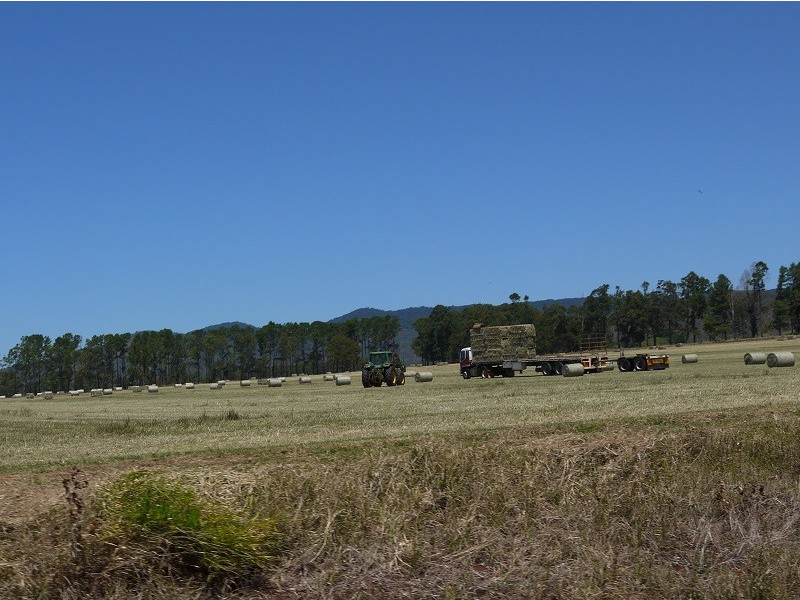 133 Griffin Road, Tolga QLD 4882